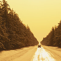 Buy canvas prints of Winter Road by Dave Reede