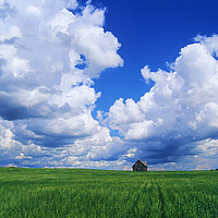 Buy canvas prints of Abandoned Farm House in Wheat Field by Dave Reede