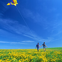 Buy canvas prints of Running With a Kite by Dave Reede
