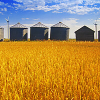 Buy canvas prints of Old Grain Bins by Dave Reede