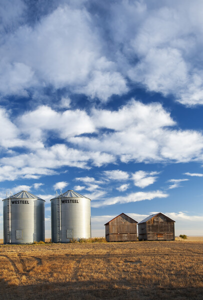 old and New Grain Bins Picture Board by Dave Reede