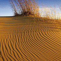 Buy canvas prints of Spirit Sands Patterns by Dave Reede