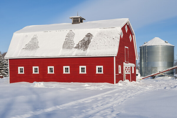 Red Barn and Grain Bin in Winter Picture Board by Dave Reede