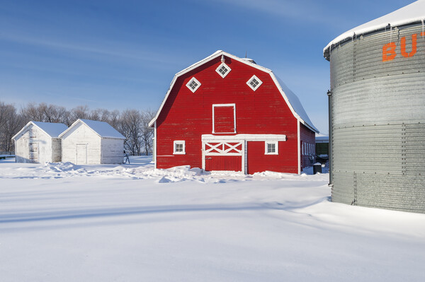 Old Grain Bin and Red Barn in Winter Picture Board by Dave Reede
