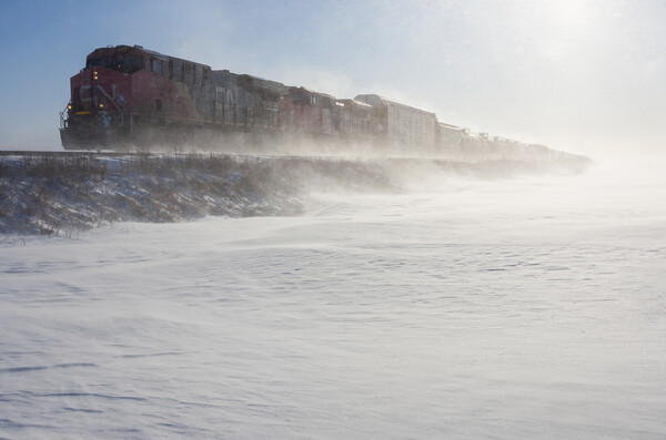 Winter Wind Along the Railway Picture Board by Dave Reede