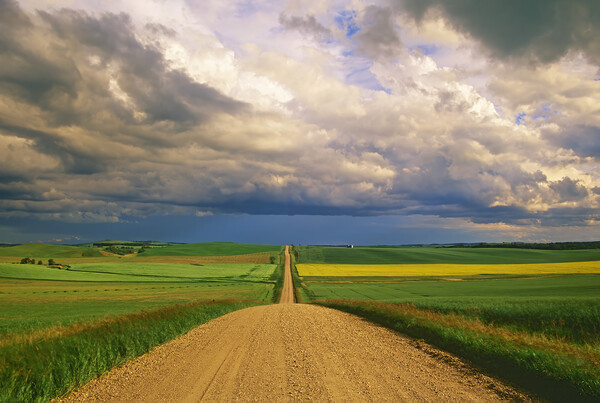 Country Road into the Storm Picture Board by Dave Reede