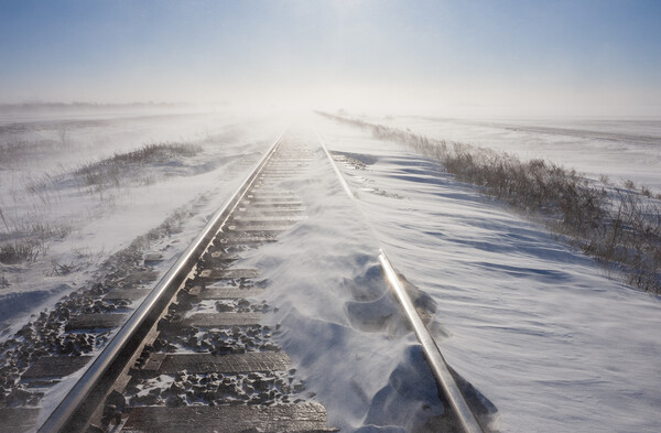 Winter Winds Along the Railway Picture Board by Dave Reede