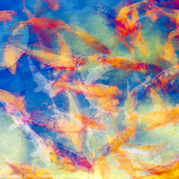 Buy canvas prints of A Colorful Confusion Of Koi by Joseph S Giacalone