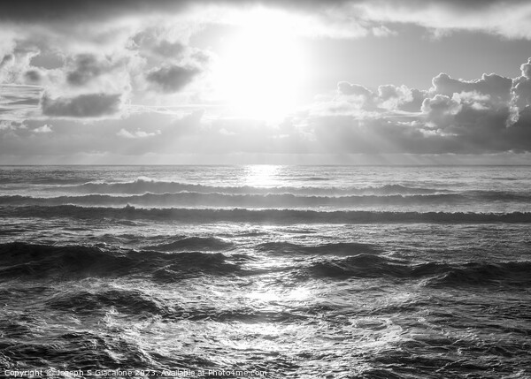 Surf and Sunbeams Monochrome Picture Board by Joseph S Giacalone