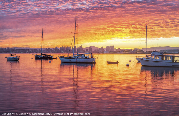 San Diego Harbor - Pink and Orange Sunrise Picture Board by Joseph S Giacalone