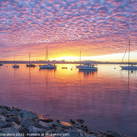 Buy canvas prints of Brilliant Sunrise - San Diego Harbor by Joseph S Giacalone