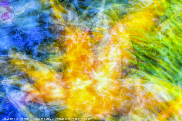 Motion of Colorful Koi Abstract Picture Board by Joseph S Giacalone