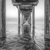 Buy canvas prints of Scripps Pier Perfect Monochrome by Joseph S Giacalone