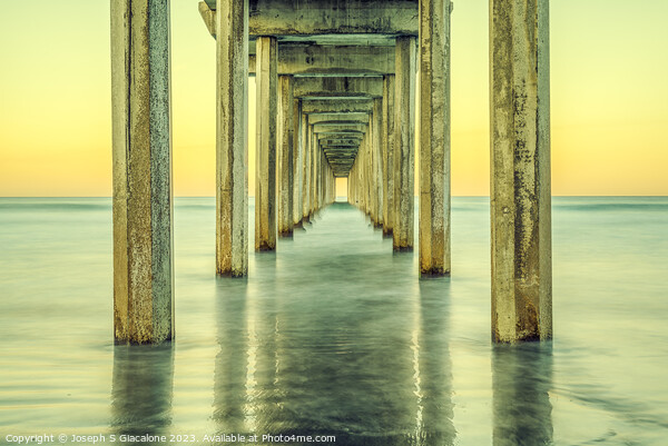Scripps Pier Golden Picture Board by Joseph S Giacalone