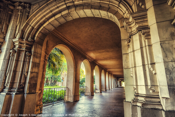 Golden Arches - Balboa Park Picture Board by Joseph S Giacalone