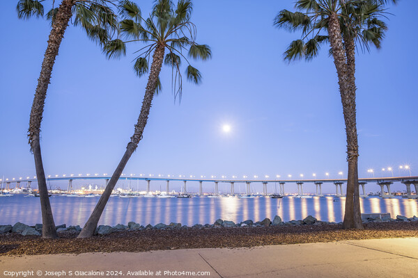 Coronado Moonlight Night Picture Board by Joseph S Giacalone