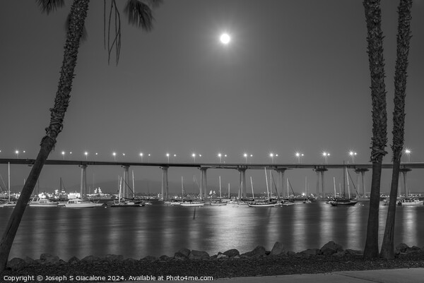 Coronado Moonlight Night Monochrome Picture Board by Joseph S Giacalone