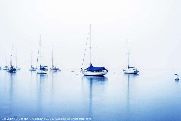 Morning Blues - San Diego Harbor Picture Board by Joseph S Giacalone