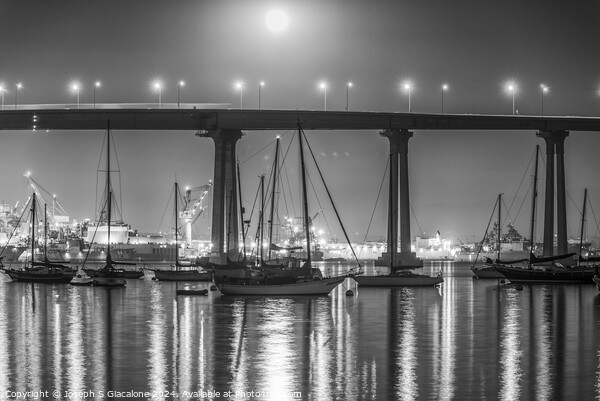 Under Moonlight - Coronado Bridge Picture Board by Joseph S Giacalone