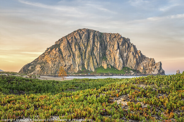 Morro Rock At Rest Picture Board by Joseph S Giacalone