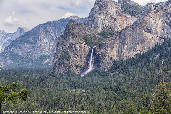Yosemite Valley Majesty Picture Board by Joseph S Giacalone