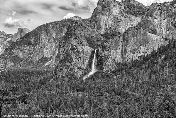 Yosemite Valley Majesty Monochrome Picture Board by Joseph S Giacalone