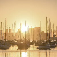 Buy canvas prints of Nautical Forest - San Diego Harbor by Joseph S Giacalone