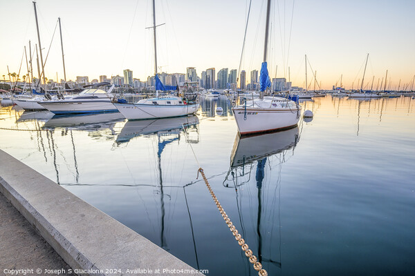 San Diego Harbor - Calm Sunrise Picture Board by Joseph S Giacalone