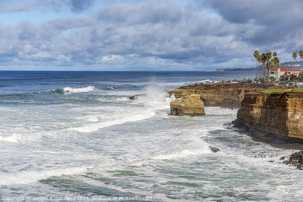 Winter Majesty - Sunset Cliffs Natural Park Picture Board by Joseph S Giacalone
