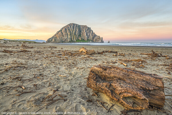 From Driftwood To Morro Rock Picture Board by Joseph S Giacalone