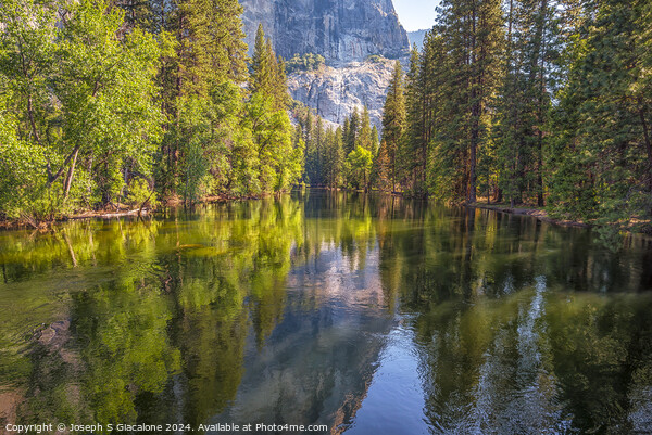 A Merced River Calm - Yosemite Valley Picture Board by Joseph S Giacalone