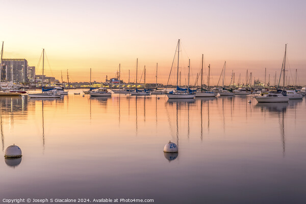 Warm Glow - San Diego Harbor Picture Board by Joseph S Giacalone