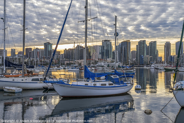 Rippled Clouds Sunrise - San Diego Harbor Picture Board by Joseph S Giacalone