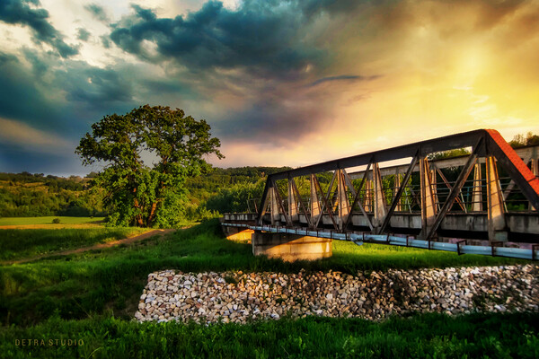 The bridge on the river Jasenica Picture Board by Dejan Travica