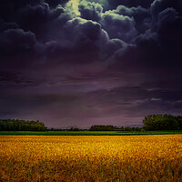 Buy canvas prints of  Wheat field under the purple sky by Dejan Travica