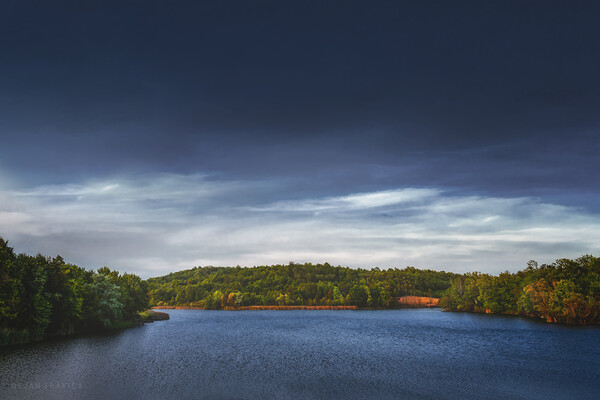 Everything's quiet on the small lake Picture Board by Dejan Travica