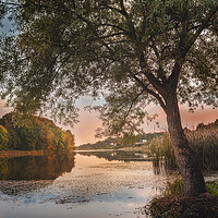Buy canvas prints of A secret place on the small lake 2 by Dejan Travica
