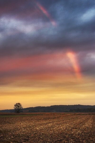Sunset rainbow Picture Board by Dejan Travica