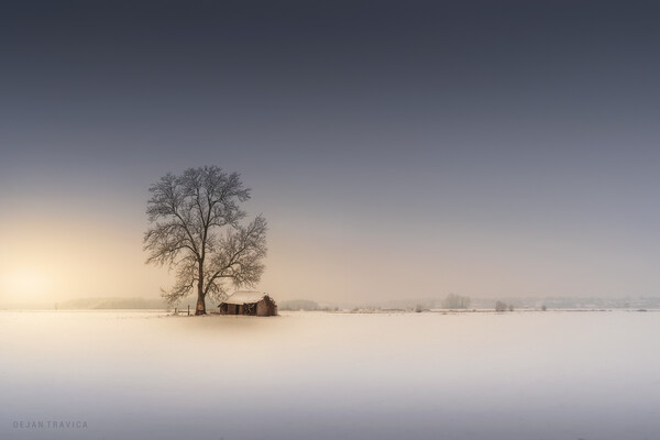 An old hut in the winter field Picture Board by Dejan Travica