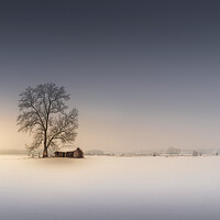 Buy canvas prints of An old hut in the winter field by Dejan Travica