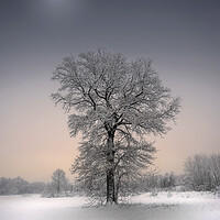 Buy canvas prints of Winter solitude by Dejan Travica