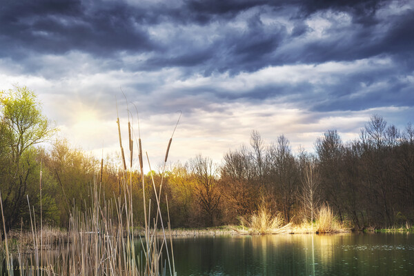 The Spring is slowly coming to the small lake. Picture Board by Dejan Travica