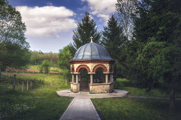 The healing water well of the Koporin monastery in Serbia Picture Board by Dejan Travica
