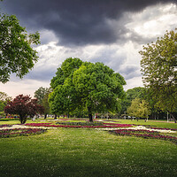 Buy canvas prints of Palic Great park in the spring by Dejan Travica