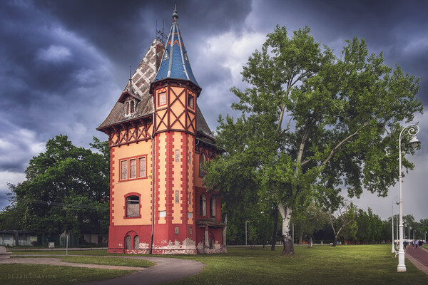 The old villa Bagojvar - Owl's tower Picture Board by Dejan Travica