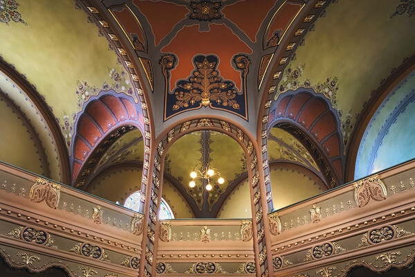 The vaults of the Subotica synagogue Picture Board by Dejan Travica