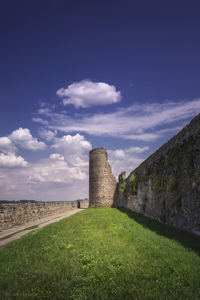 Tower and walls of the Smederevo medieval fortress in Serbia Picture Board by Dejan Travica
