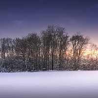 Buy canvas prints of Grove in a field covered with snow by Dejan Travica