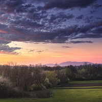 Buy canvas prints of Early spring in the field at sunset by Dejan Travica