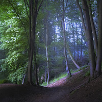 Buy canvas prints of The road through the mystic forest by Dejan Travica